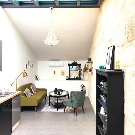 Beautiful Duplex With Ac - Place Du Palais